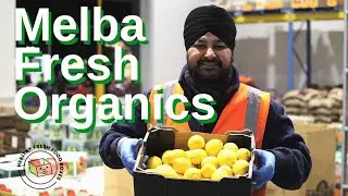Melba Fresh