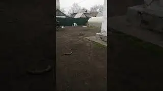 Стоят при провокации