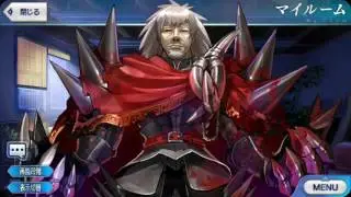 Fate/Grand Order Happy Birthday Lines Compilation