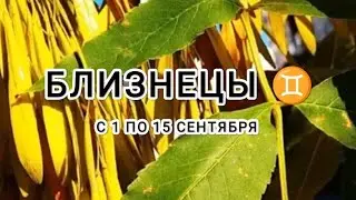 БЛИЗНЕЦЫ ♊ таро прогноз с 1 по 15 сентября & Близнецы таро прогноз с 1 по 15 сентября