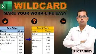 How to Use Wildcard Characters in Excel