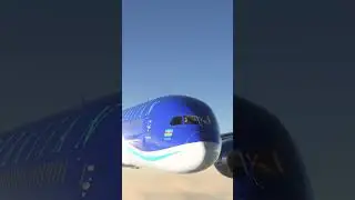 787 Azerbaijan Airlines Nose Aircraft 