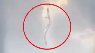 5 Chinese Dragon Caught on Camera & Spotted in Real Life