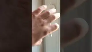 Сытые коты считают себя голодными