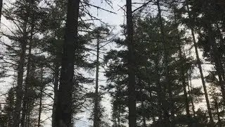Reason - Promise