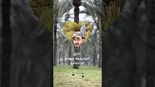 അന്നൊരു മഴയുള്ള രാത്രി,ആദ്യമായ് മോഹങ്ങൾ പൂവിട്ടത് അന്നായിരുന്നു, ഒരു വട്ടം കൂടി കാണാൻ തോന്നിയ രാത്രി