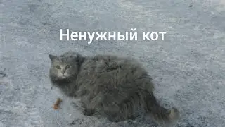 Ненужный кот