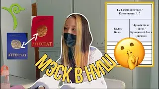 МЭСК В НИШ📚 || результаты и ощущения