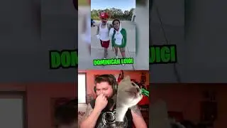 my cat uses green screen 💀
