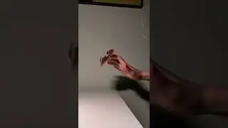 Random freestyle ✌️❤️ #fb #fingerboard #random #freestyle #shorts