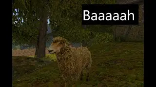 Gothic 2 - The story of the Sheep and Buster
