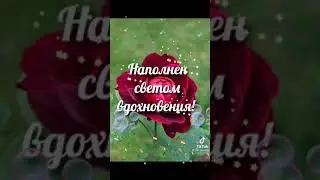 Доброе пожелание 🙏❤️🌹💋