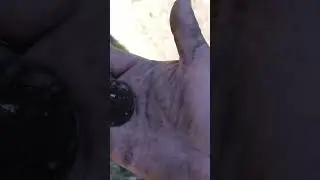 Aventureros Vlogs BUSCANDO TESOROS 