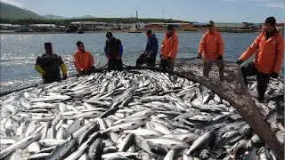 Fishing with Fired Twigs There Fire - Unique Fishing Techniques Best In World