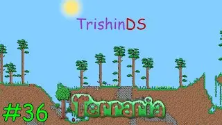 Terraria 1.3 - Expert Mode - 36 - Adamantite (T822)