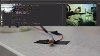 Project FlySwatter Demo | AI Project