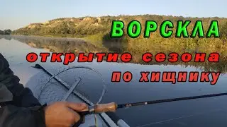 Ворскла - открытие сезона по хищнику