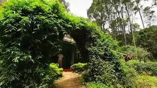 Galway's Land National Park | Places to visit in Nuwaraeliya