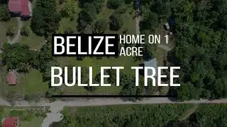 Belize Turnkey Home on 1 Acre with Tropical Fruit Trees