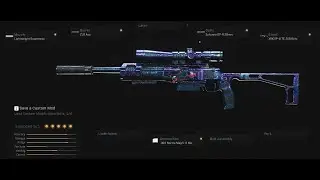 Sniping with the R700 (SP-R 208) Marksman Rifle in Warzone - BEST LOADOUT EVER!
