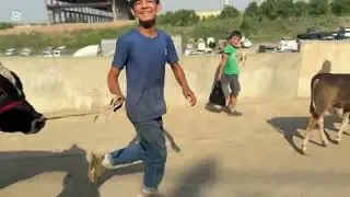 SHAHIDON MOL BOZORI BUNAQA HOLAT BOʻLMAGAN NARX NAVOLAR