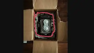 16. CSS - Intro to Box Model Content