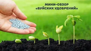 Буйские удобрения: новинка в ассортименте. Обзор.