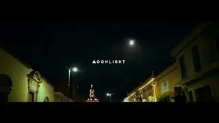 Libélula - Moonlight (Lyric video)