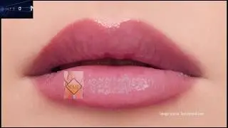 Sex education video || Erogenous zone - the labia majora || Silotheducation