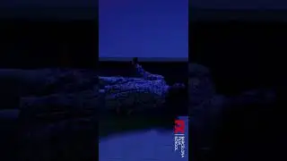 NIÑA QUE MIRA A LA LUZ