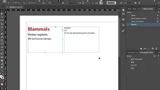 Object Style with Paragraph Style and Next Style | Adobe InDesign