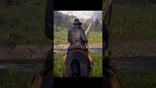 Cowboy Pov #cowboy #rdr2online #rdr2
