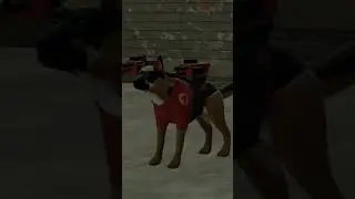 skibidi pug 6
