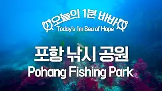 [#오늘의1분바바] 바다 씨와 함께 떠나는 포항 낚시 공원🌊 l #Shorts