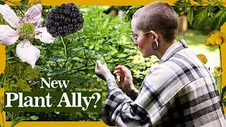 Witchy Vlog: Connecting to a new plant spirit