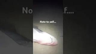 The SCARIEST Thing I Found Metal Detecting