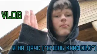 ДАЧНЫЙ ВЛОГ