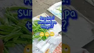 sumonod pa talaga #ganiganstv #highlights