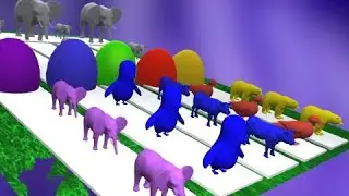 Paint and animals Elephant, Duck, Cow, Bear I Fountain crossing | Cartoons | Learn colors with Anima