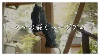 クマの森ミュージアム/ドローンツアー