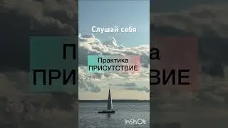 Практика присутствия #практика #relaxing