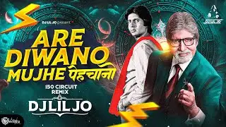 Are Diwano Mujhe Pehchano 150 Circuit Remix DJ LIL JO