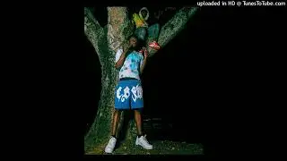 [FREE] lil tony x 2sdxrt3all type beat - 