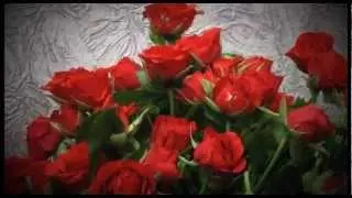 Свадьба Тимура И Амины