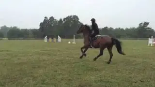 Pay & Jump Traume, 110