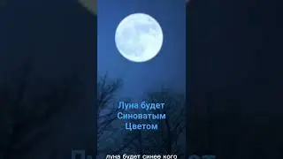 23 августа 2023 г.
