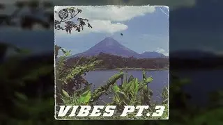Prechopped Vintage Samples Pack 