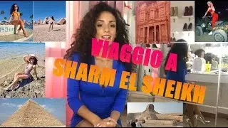 Sharm el Sheik - Piramidi - Sfinge - Petra - Ras Mohammed