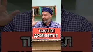 Тынч ёл Дженнетге