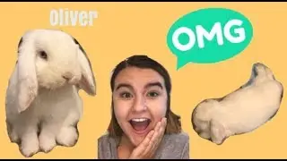 I Adopted a Bunny!!!! (Emotional)